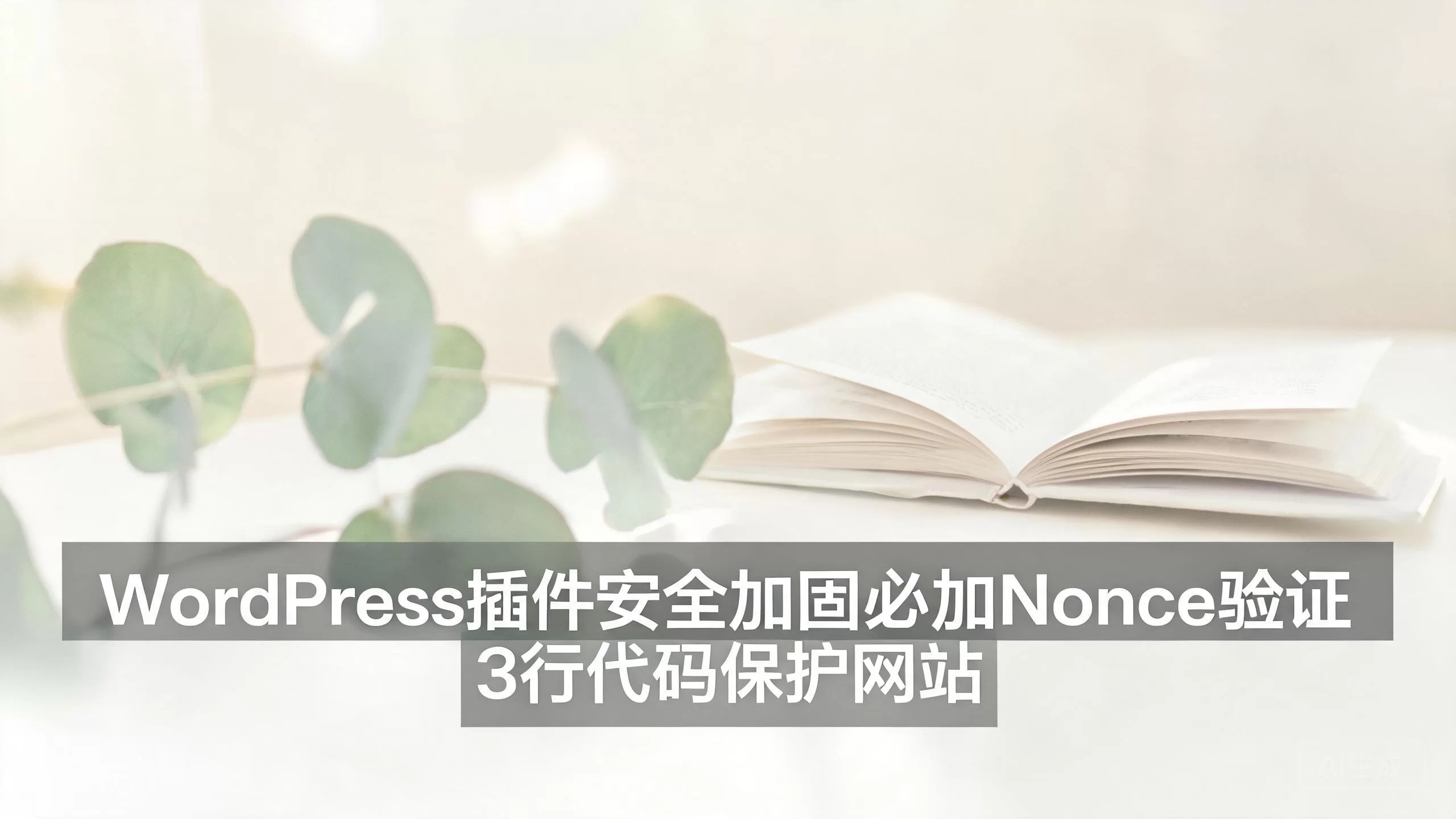 WordPress插件安全加固必加Nonce验证 3行代码保护网站-小栈博客