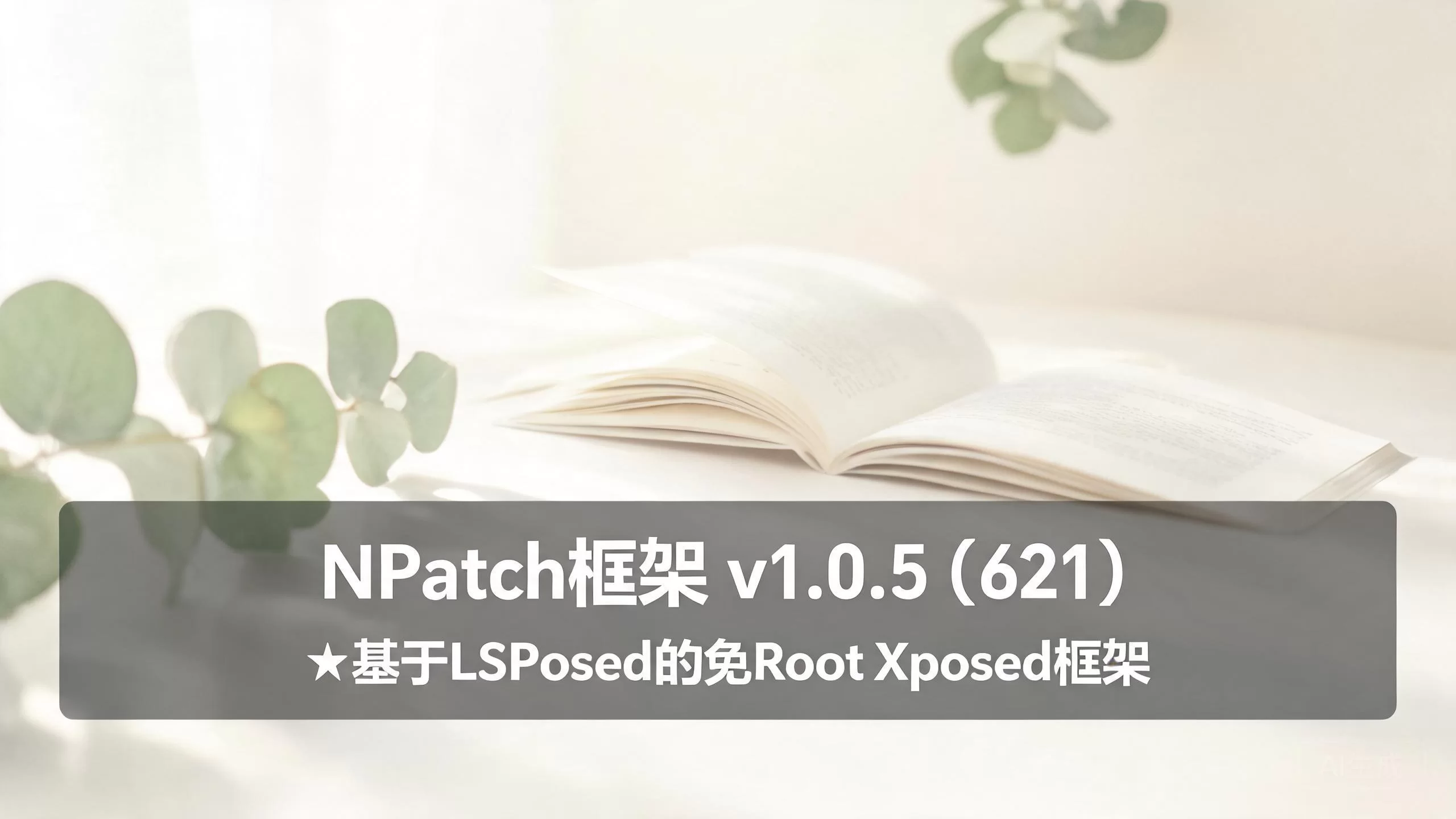 NPatch框架 v1.0.5（621）★基于LSPosed的免Root Xposed框架-小栈博客