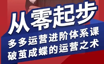 拼多多运营进阶系统课，从零起步，多多运营进阶体系课，破茧成蝶的运营之术（更新26年4月）-小栈博客