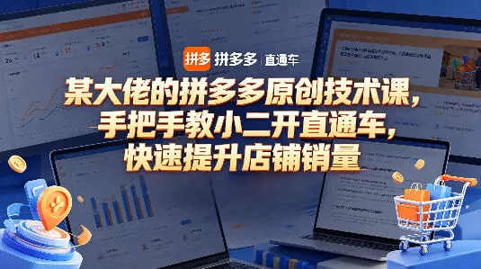某大佬的拼多多原创技术课，手把手教小二开直通车，快速提升店铺销量-小栈博客
