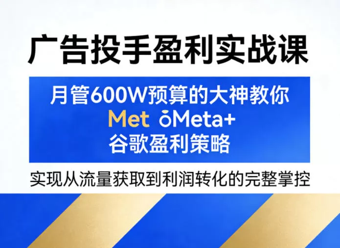 Meta与Google广告盈利实战课：月管600万预算专家教你流量转化与利润提升策略-小栈博客