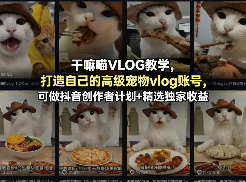 宠物VLOG教学：打造高级账号，参与抖音创作者计划与精选独家收益-小栈博客
