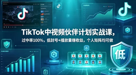 TikTok中视频伙伴计划实战课，过中率100%，低封号+播放量賺收益，个人矩阵均可做-小栈博客