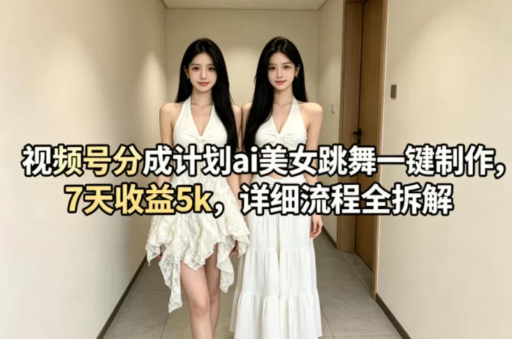 视频号分成计划ai美女跳舞一键制作，7天收益5k，详细流程全拆解-小栈博客