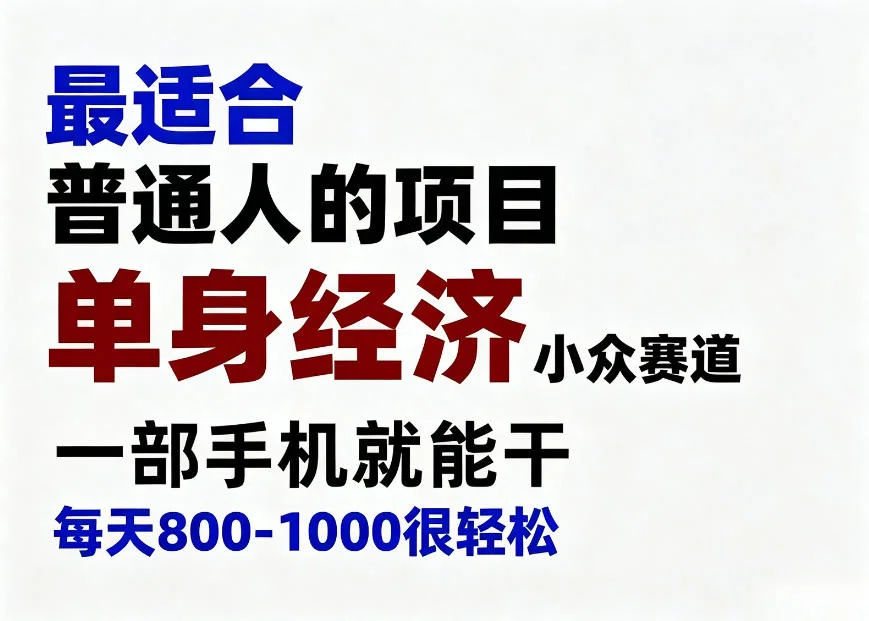 身经济小众赛道，一部手机就能干，每天搞个800-1000很轻松，最适合普通人的项目【揭秘】-小栈博客