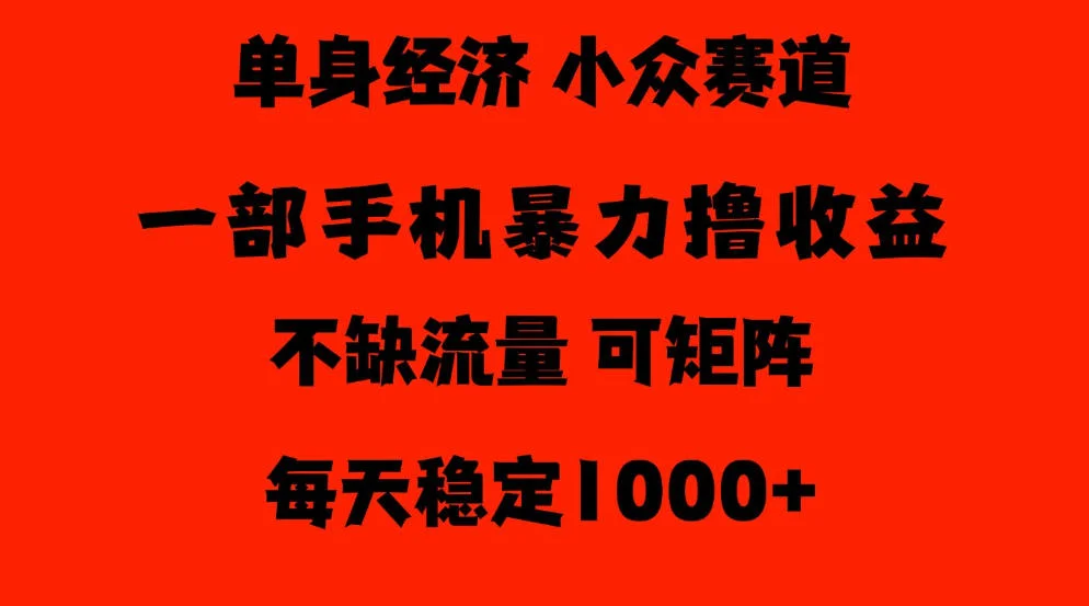 26年暴力单身经济，稳定日入500-1k，不缺流量，流量极大，冷门小众赛道，门槛低小白轻松上手【揭秘】-小栈博客