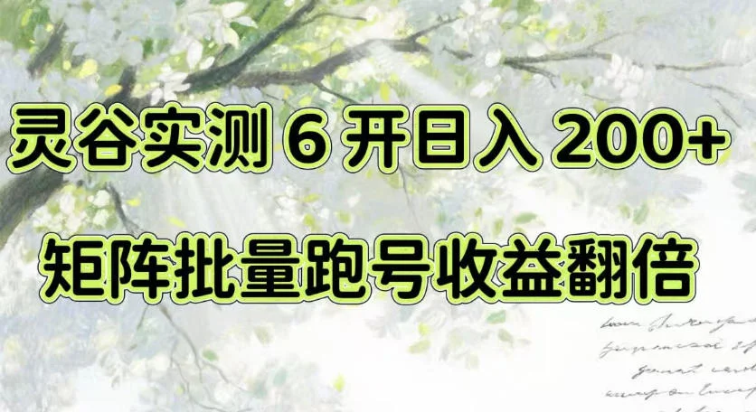 一台电脑就能做！灵谷实测6开日入200+，矩阵批量跑号收益翻倍【揭秘】-小栈博客