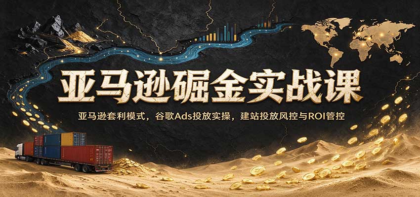 亚马逊套利实战课：谷歌Ads投放+建站风控与ROI管控