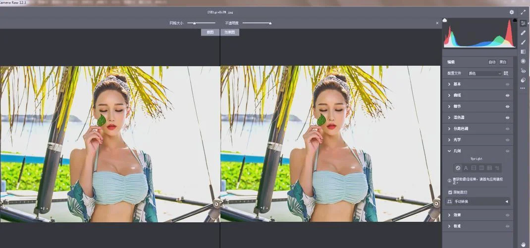 RAW处理Adobe Camera Raw v18.5.0中文版 RAW处理Adobe Camera Raw v18.5.0中文版